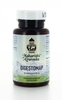 Digestomap - Maharishi Ayurveda
