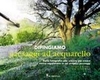Dipingiamo Paesaggi ad Acquarello