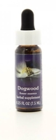 Dogwood - Essenze Californiane