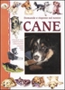 Domande e Risposte sul Nostro Cane