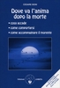 Dove va l