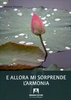 E Allora mi Sorprende l