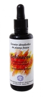 Echinacea Estratto Idroalcolico da Pianta Fresca