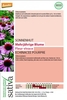 Echinacea Purpurea - b533