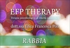 EFP Therapy - Rabbia (Videocorso Digitale) Streaming - Da vedere online