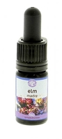 Elm - Integratore Alimentare