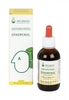 Epadrenol - Integratore Naturale a Base di Estratti Vegetali