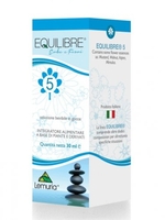 Equilibre 5