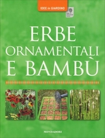 Erbe Ornamentali e Bambù