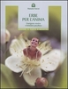 Erbe per l