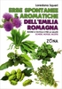 Erbe Spontanee e Aromatiche dell