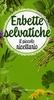 Erbette Selvatiche. Il Piccolo Ricettario