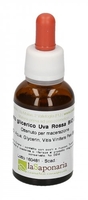 Estratto Glicerico Uva Rossa Bio