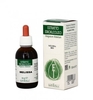 Estratto Idroalcolico Melissa Bio