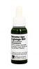 Estratto Liposolubile di Gingko Biloba