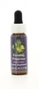 Evening Primrose - Essenze Californiane