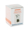 Expando Capsule - Vegetal Progress