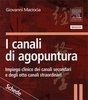 I Canali di Agopuntura - Schede