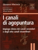 I Canali di Agopuntura