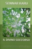 Il Divino Soccorso