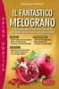 Il Fantastico Melograno