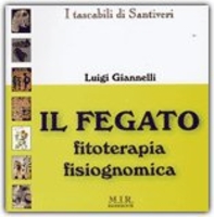 Il Fegato