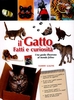Il Gatto
