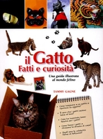 Il Gatto