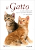 Il Gatto