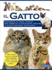Il Gatto