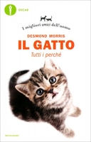 Il Gatto: Tutti i Perché