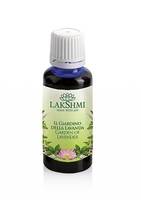 Il Giardino Della Lavanda