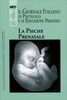 Il Giornale Italiano di Psicologia e di Educazione Prenatale n.30