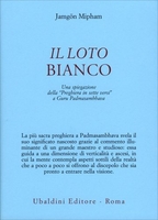 Il Loto Bianco
