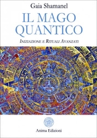 Il Mago Quantico