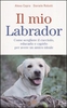 Il Mio Labrador