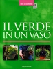 Il Verde in un Vaso