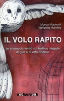 Il Volo Rapito