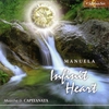 Infinite Heart