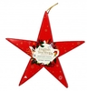Infusi e Tè Bio Stella di Natale Rossa 6 filtri (12 g)
