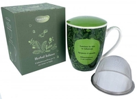 Infusiera con Filtro in Acciaio - Lezioni di Tè Verde - Lezione di Tè n. 1