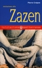Iniziazione allo Zazen