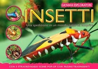 Insetti