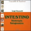 Intestino - Fitoterapia Fisiognomica