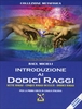 Introduzione ai Dodici Raggi