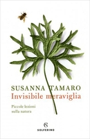 Invisibile Meraviglia