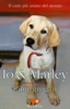 Io & Marley