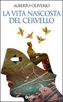 La Vita Nascosta del Cervello