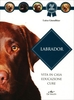 Labrador