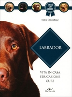 Labrador